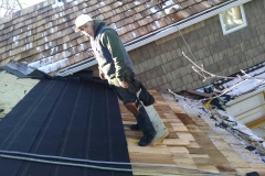 asphalt shingles roof