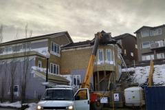 asphalt shingles roof