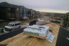 asphalt shingles roof
