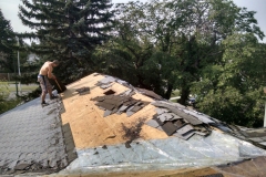 asphalt shingles roof