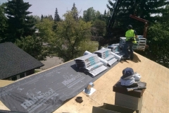 asphalt shingles roof