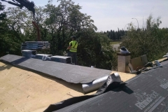 asphalt shingles roof