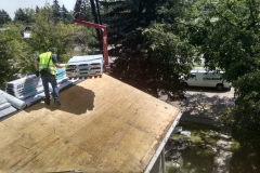 asphalt shingles roof