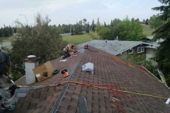asphalt shingles roof