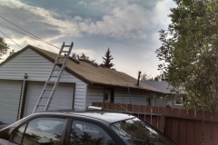 asphalt shingles roof