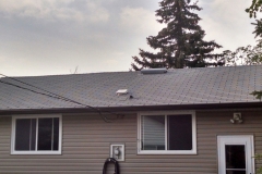 asphalt shingles roof