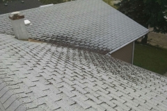 asphalt shingles roof
