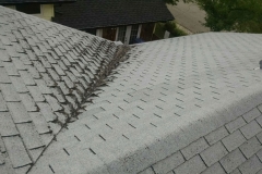 asphalt shingles roof