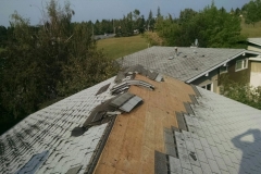 asphalt shingles roof