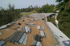 asphalt shingles roof