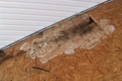 Replacing rotten/water damaged plywood